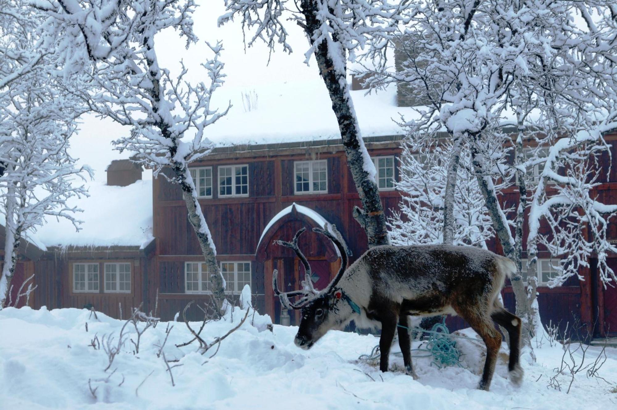Harahorn Fjellgard Hotel Grondalen  ภายนอก รูปภาพ