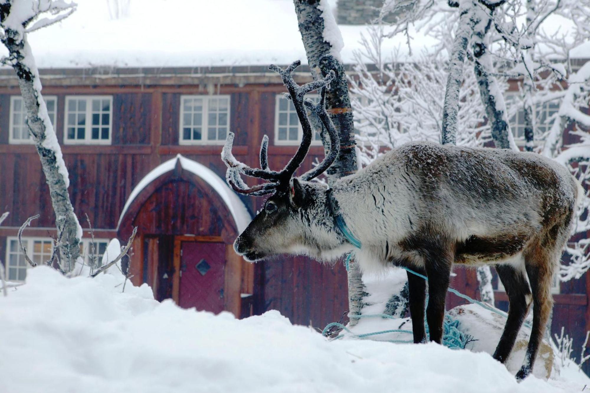 Harahorn Fjellgard Hotel Grondalen  ภายนอก รูปภาพ
