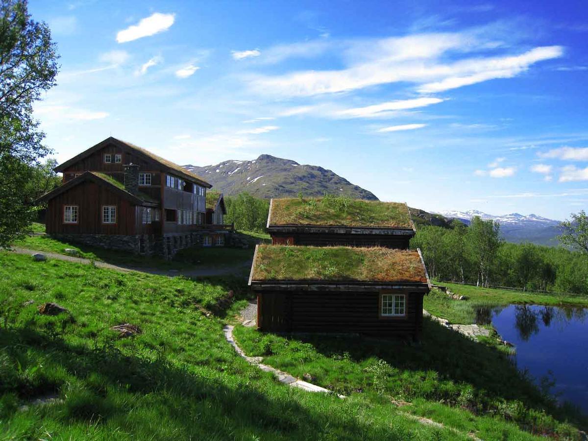Harahorn Fjellgard Hotel Grondalen  ภายนอก รูปภาพ